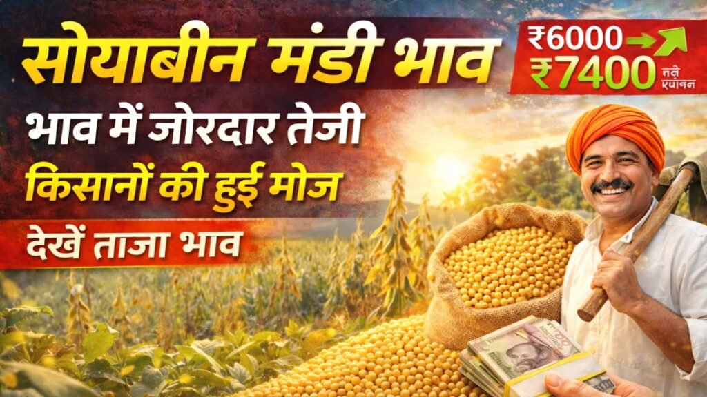 Soya Bean Bhav Update